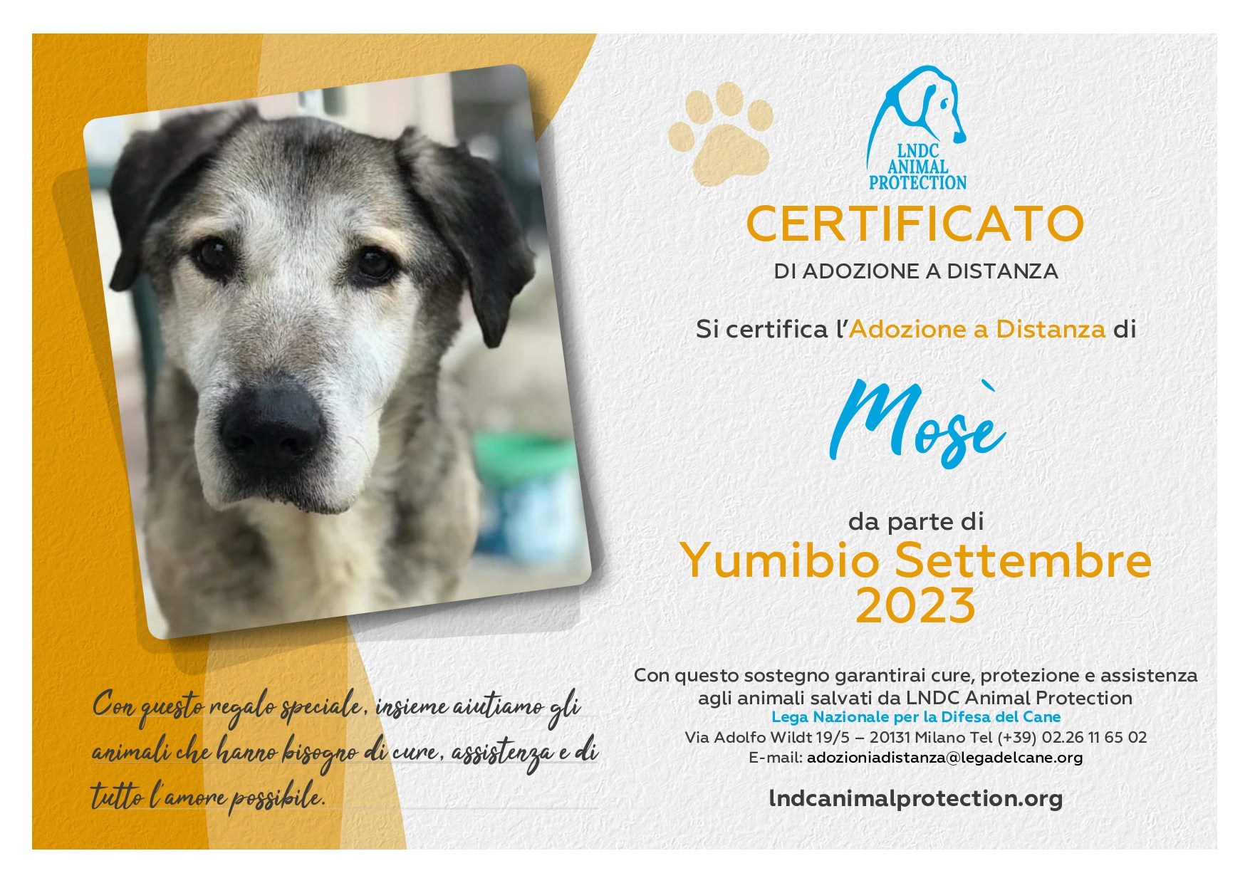 Mosé